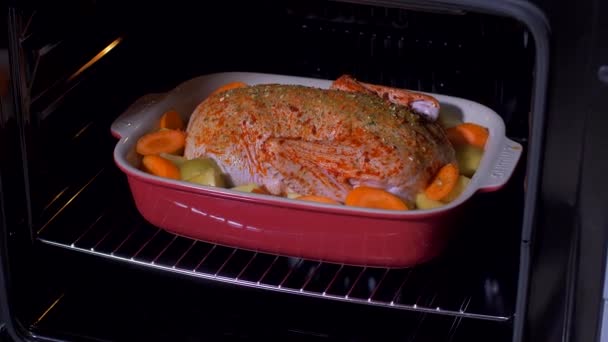 Tangan menempatkan bebek dalam oven — Stok Video