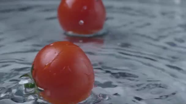 Pomidory opadają w wodzie na jasnym tle. Zwolnionym — Wideo stockowe