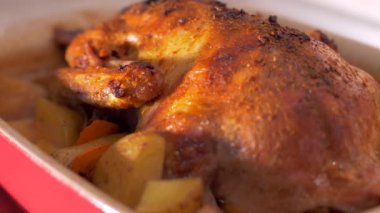 Fırında ördek çıkarma