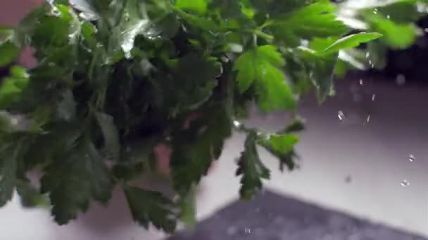 Spanking the parsley, the drops drop the spraying. — Stock Video