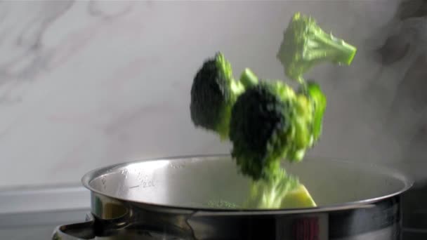 Brócolos caem em uma panela fervente de água. Movimento lento — Vídeo de Stock