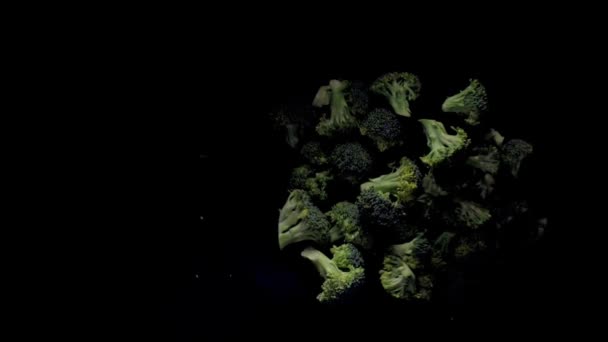 Broccoli draaien op een zwarte achtergrond. Slow Motion — Stockvideo