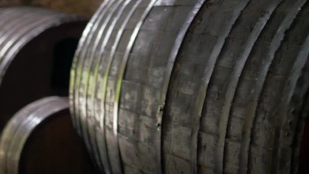 Barricas viejas para almacenamiento de vino. Antigua bodega — Vídeos de Stock