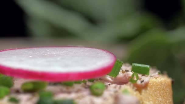 민트 잎을 페이스트와 함께 샌드위치위에 놓습니다. 슬로우 모션 — 비디오