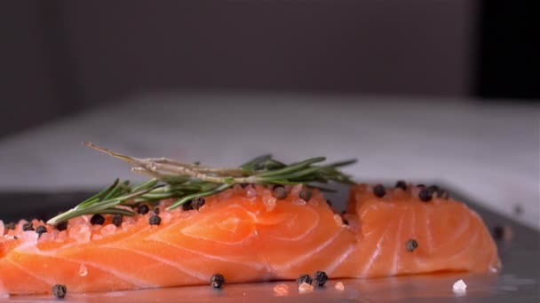 Añadir romero al salmón de pescado. Movimiento lento — Vídeo de stock