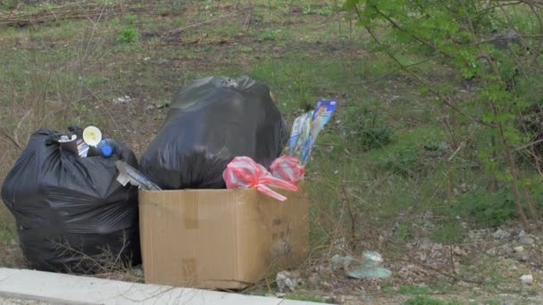 Saco de lixo preto no jardim . — Vídeo de Stock
