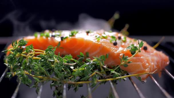 Smoking a salmon fillet on thyme. Slow motion — Stock Video