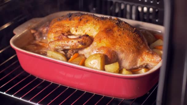 De eend in de oven verwijderen — Stockvideo