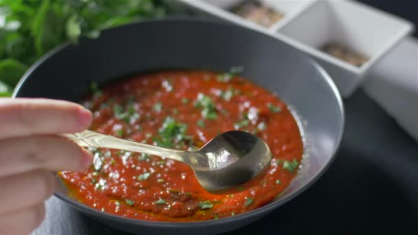 요리사는 피자에 잘 정련 된 토마토 소스를 혼합 — 비디오