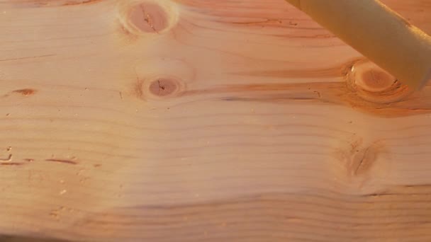Професійний тесля наносить прозорий шар лаку на гладку деревину — стокове відео