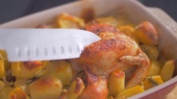 Cortar pollo jugoso en el horno con patata — Vídeos de Stock