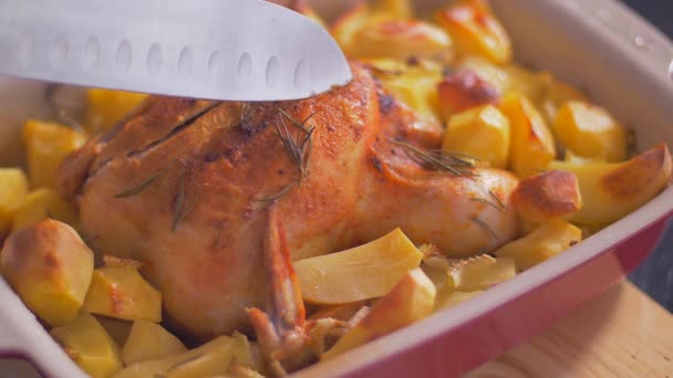 Taglio di pollo succoso in forno con patate — Video Stock