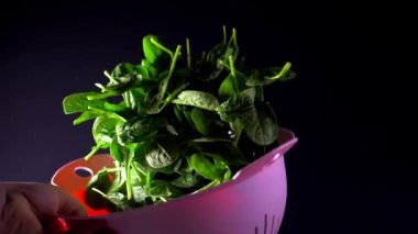 kadın elleri bebek ıspanak ile bir afiş atmak