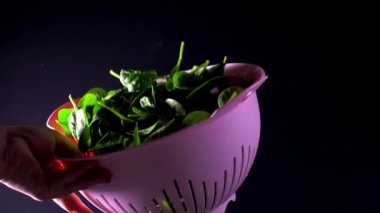 kadın elleri bebek ıspanak ile bir afiş atmak