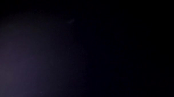 Детский шпинат на черном фоне падает на снимок замедленной съемки — стоковое видео