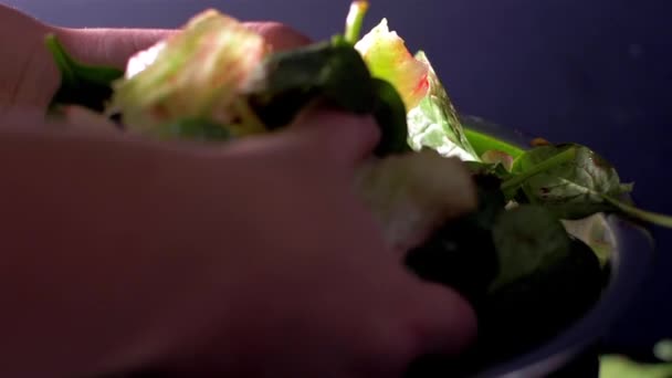 A agitar a salada fresca. Salada com beterraba e espinafre de bebê — Vídeo de Stock