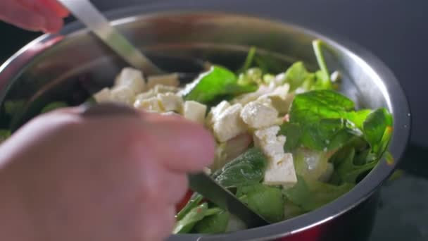 搅拌新鲜的沙拉。沙拉与甜菜和小菠菜 — 图库视频影像