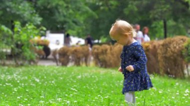 Küçük bir sarışın kız papatyalar arasında oynuyor