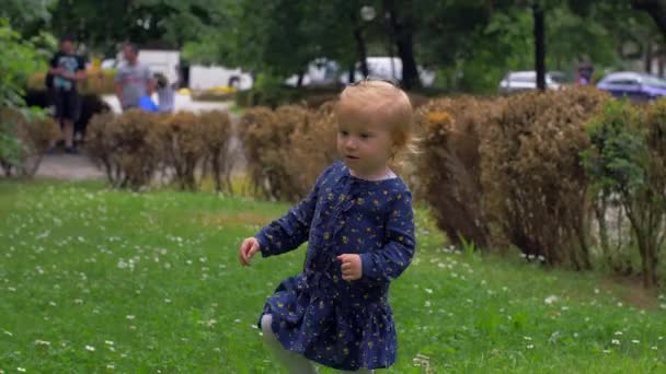 Ein kleines blondes Mädchen spielt zwischen Gänseblümchen — Stockvideo