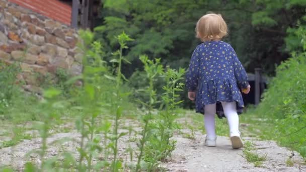 穿着蓝色连衣裙的小女孩在大自然中漫步 — 图库视频影像