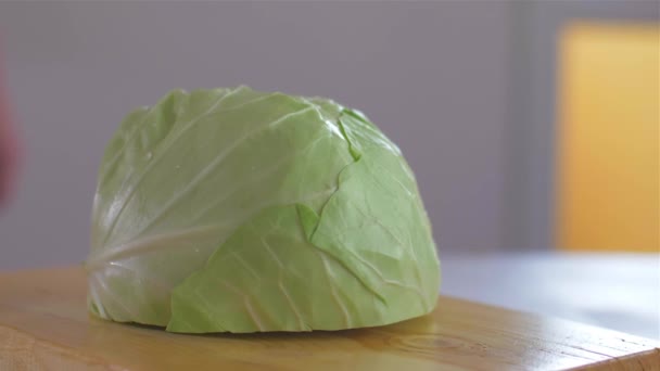 Cutting cabbage with a cleaver knife — Stock Video