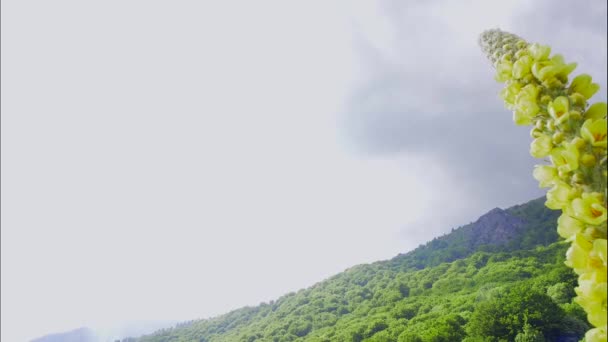 Lapso de tempo da montanha Rila - BULGÁRIA na natureza. Nuvens se movem rápido — Vídeo de Stock