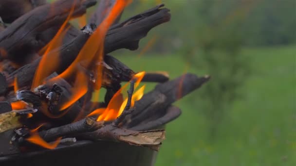 Barbecue grill with fire. On nature, outdoor, close up — Stock Video