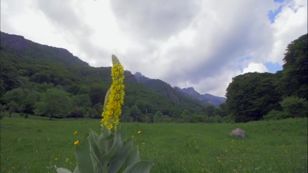 Χρόνος λήξης του βουνού Ρίλα-Βουλγαρία στη φύση. Τα σύννεφα κινούνται γρήγορα — Αρχείο Βίντεο