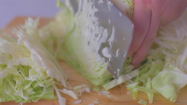 Cortar la col con un cuchillo de cuchilla — Vídeos de Stock