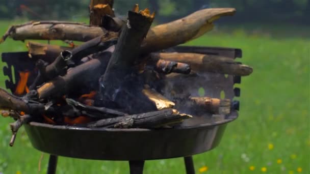 Parrilla de barbacoa con fuego. En la naturaleza, al aire libre, de cerca — Vídeos de Stock