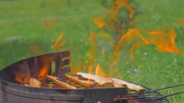 Embutidos a la parrilla y carne de cerdo en un plato a la parrilla, al aire libre. Comida a la brasa, barbacoa — Vídeos de Stock