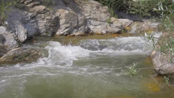 O rio está correndo rápido. Bela vista — Vídeo de Stock