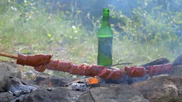 Roasting sausages on sticks in the nature. Fire on fire — Stock Video