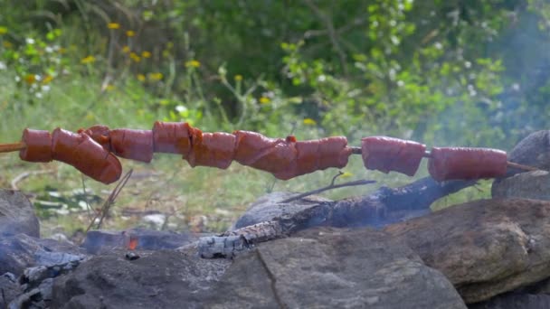 Asar salchichas en palitos en la naturaleza. Fuego en el fuego — Vídeos de Stock