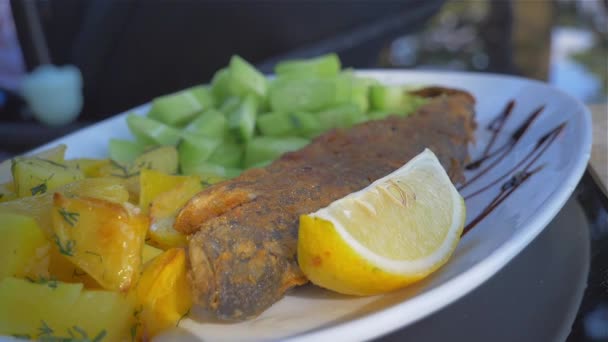 Balık ve sebze garnitür ile çanak — Stok video