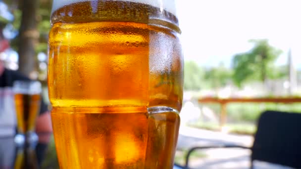 Склянка пива крупним планом в парку — стокове відео