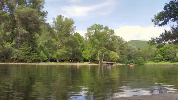 Veel zwanen zwemmen op het meer. — Stockvideo