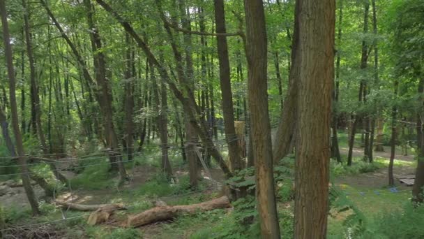 キッズロープパーク美しい自然 — ストック動画