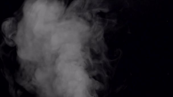 Røyk i sakte film på svart bakgrunn . – stockvideo