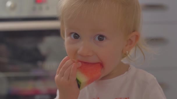 Schattig klein meisje eet watermeloen. Portret van kind eet watermeloen plakjes. — Stockvideo