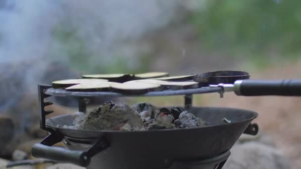 A kerti grill padlizsán előkészítése — Stock videók