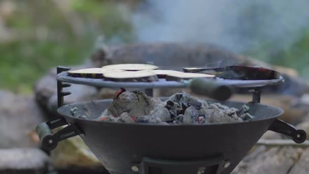 Auberginen vom Grill in der Natur zubereiten — Stockvideo