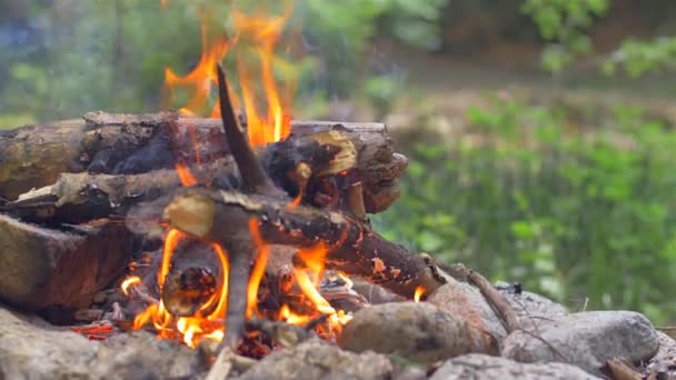 Tűz égett magas a kályha. Nyitott grill. Piknik — Stock videók