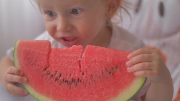 Schattig klein meisje eet watermeloen. Portret van kind eet watermeloen plakjes. — Stockvideo