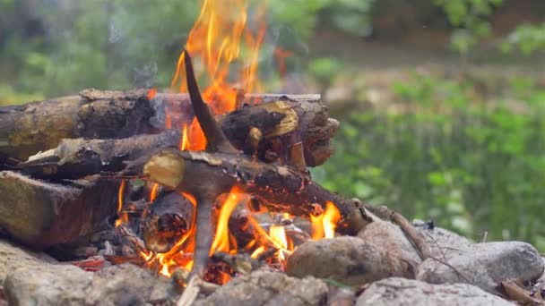 Fire burning high in a stove. Open grill. Picnic — Stock Video