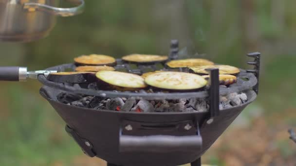 Przygotowanie oberżyn z grilla w przyrodzie — Wideo stockowe