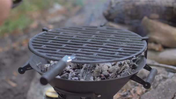 Preparación de berenjenas de la parrilla en la naturaleza — Vídeos de Stock