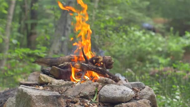 Eld brinnande högt i en kamin. Öppna grillen. Picknick — Stockvideo