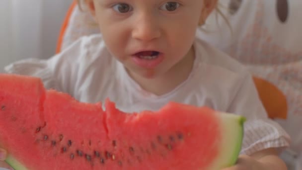 Cute little girl eats watermelon. Portrait of child eats watermelon slices. — Stock Video