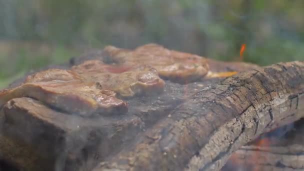 Fleisch auf einem Stein des Feuers braten — Stockvideo